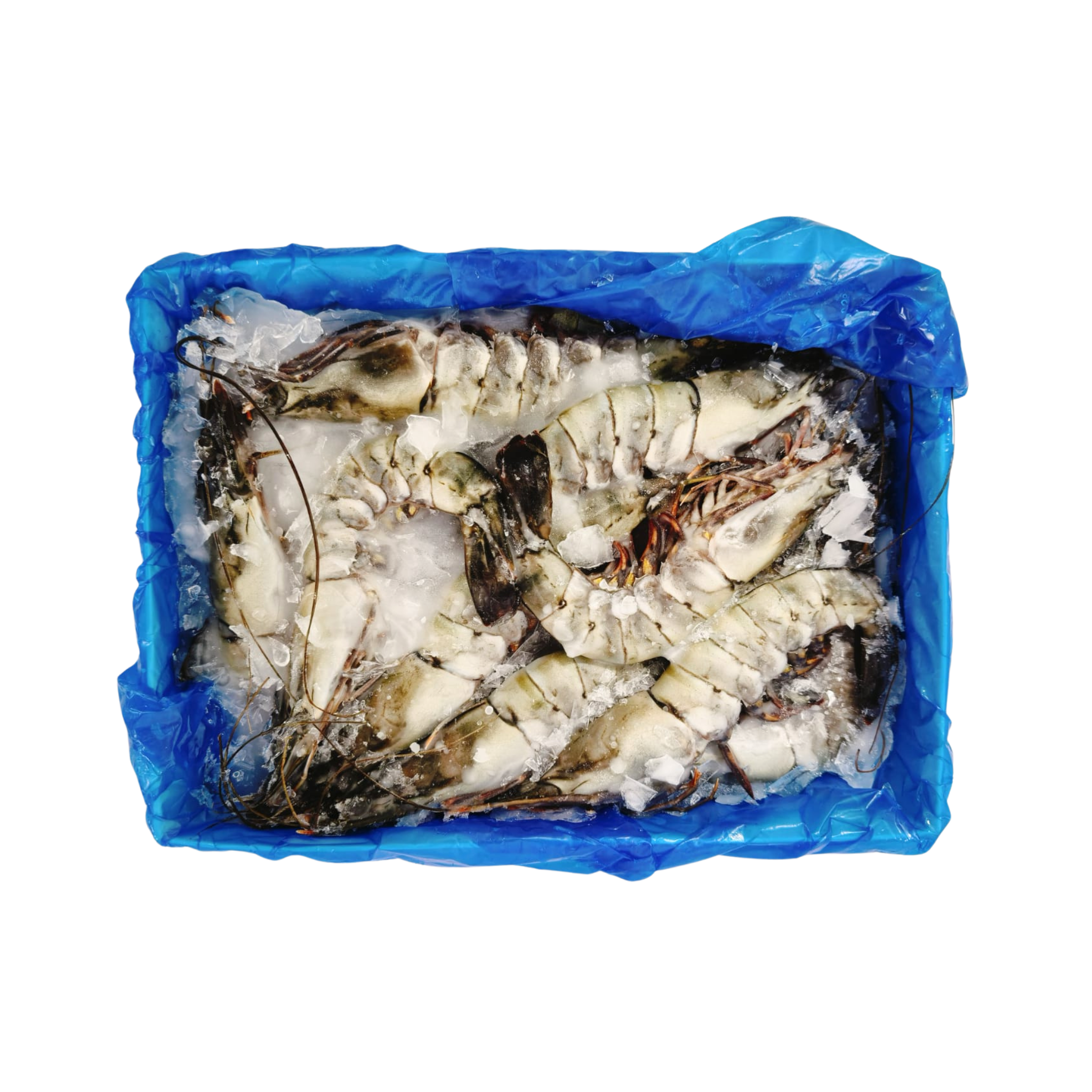 Golden Fortune Chinese New Year Family Hotpot Bundle