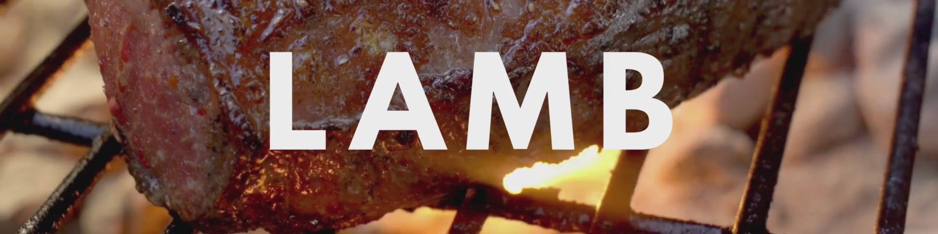 lamb collection banner
